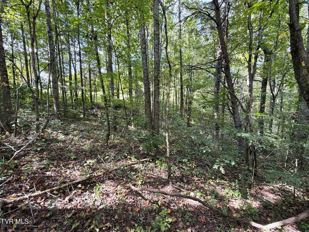 Parrottsville, TN 37843,Lot 25 East DR