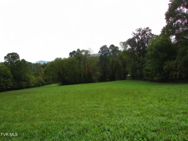 Elizabethton, TN 37643,Lot 1 H Heaton RD
