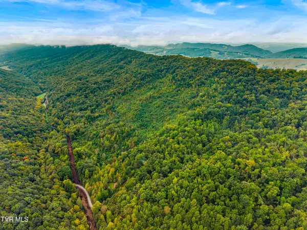 Sneedville, TN 37869,1775 Snake Hollow Road RD