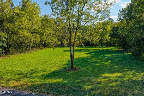 Rogersville, TN 37857,Tbd New Salem Road RD