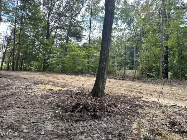 Rogersville, TN 37857,Lot 3 Highway 70s