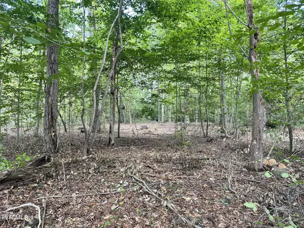 Rogersville, TN 37857,Lot 3 Highway 70s