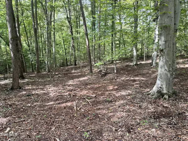 Rogersville, TN 37857,Lot 4 Highway 70s