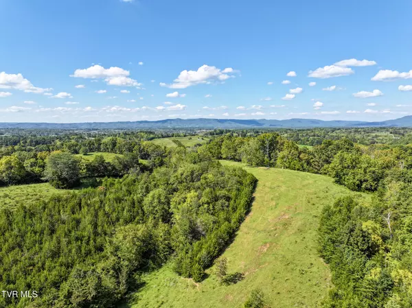 Greeneville, TN 37745,Lot 4 Union RD