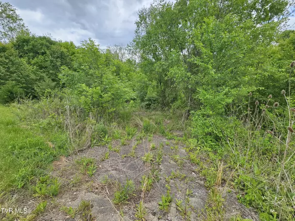 Kingsport, TN 37663,00 Fordtown RD