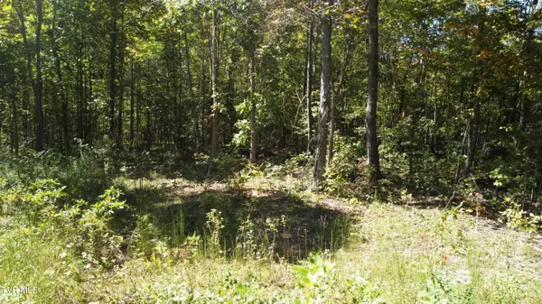 Bulls Gap, TN 37711,1ac McCullough LN