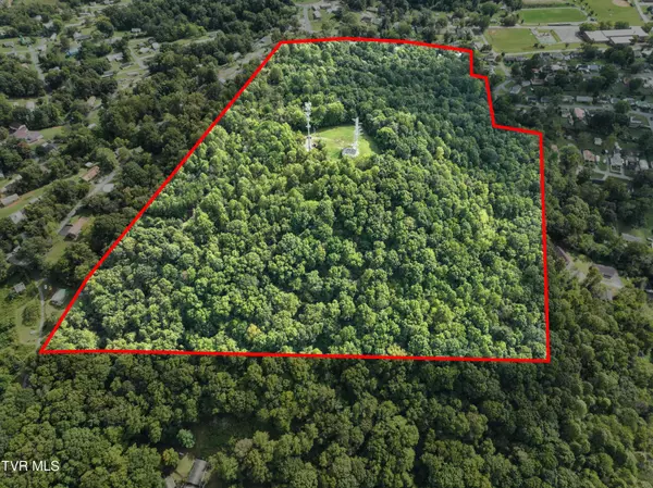 Kingsport, TN 37665,Tbd Mullins St Off