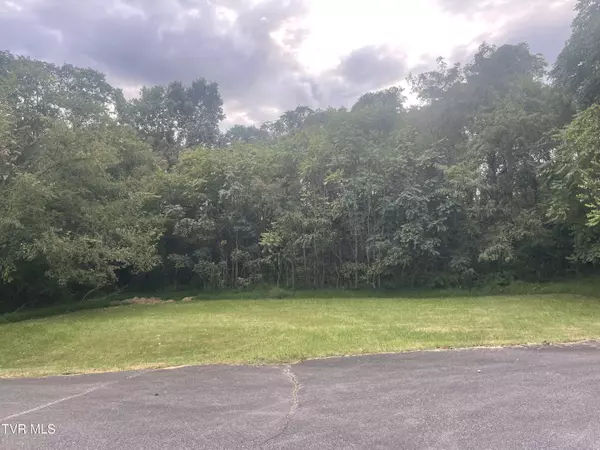 Rogersville, TN 37857,175 Summit DR