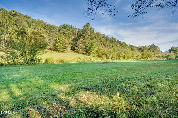 Rogersville, TN 37857,Lot 1 Bays Mountain RD
