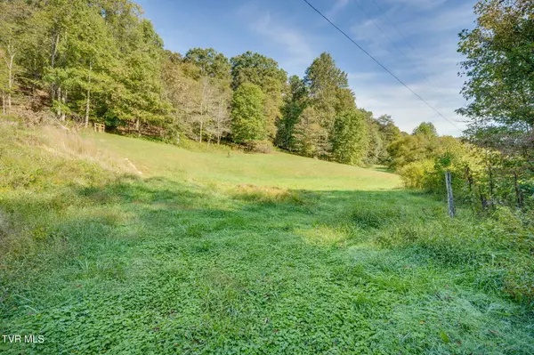 Rogersville, TN 37857,Lot 3 Bays Mountain RD