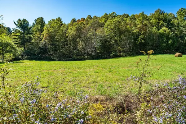 Tbd Spear Branch RD, Mountain City, TN 37683