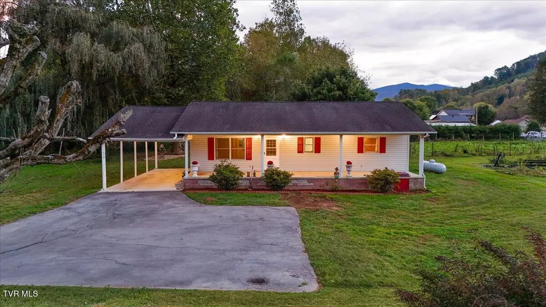 512 Race ST, Roan Mountain, TN 37687