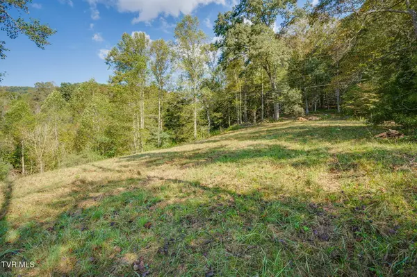 Fort Blackmore, VA 24250,Tbd Clinch River HWY
