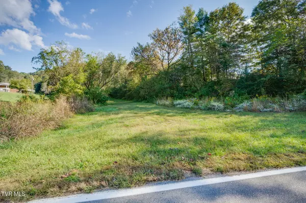 Tbd Clinch River HWY, Fort Blackmore, VA 24250
