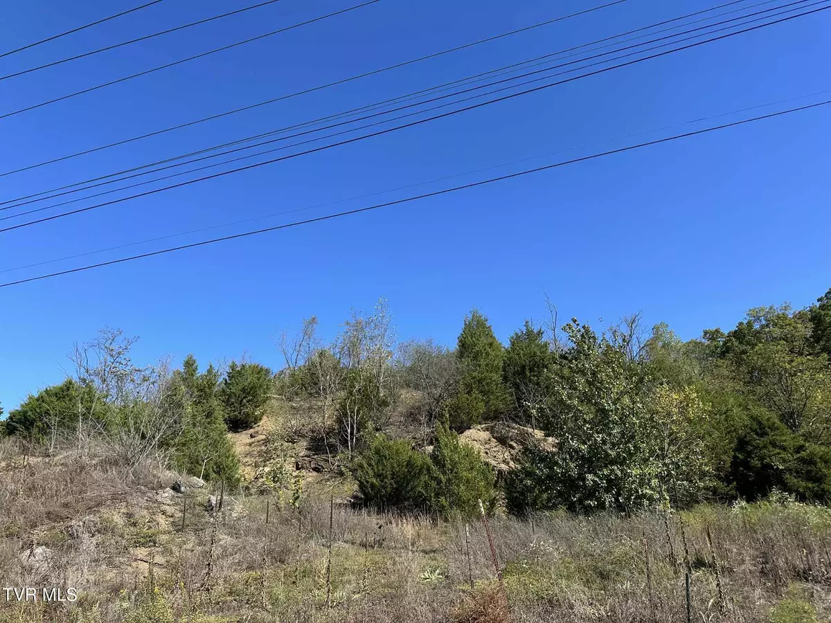 Mosheim, TN 37818,Tbd Andrew Johnson HWY