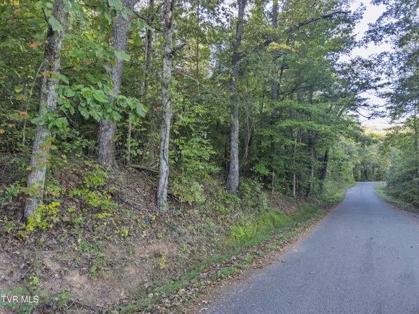 Evensville, TN 37332,Lot 3 Old Post RD