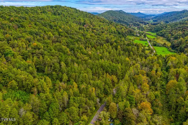 Rogersville, TN 37857,Tbd Butcher Valley Road