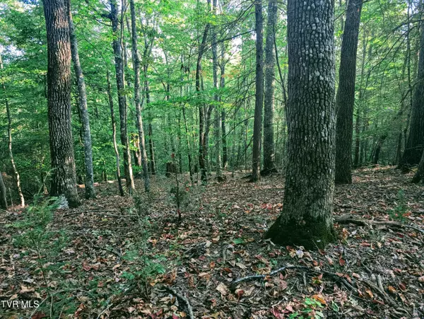 Haysi, VA 24256,Tbd Blowing Rock