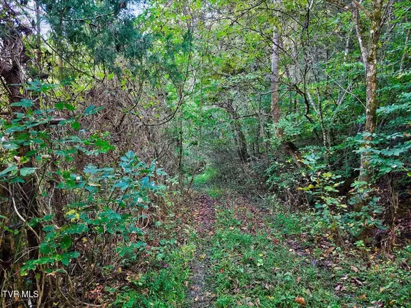 Tazewell, TN 37879,0 Claude Bolden LN