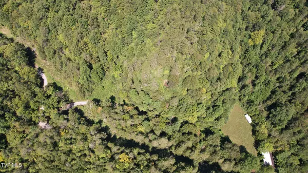 Kyles Ford, TN 37765,3665 Fisher Valley RD