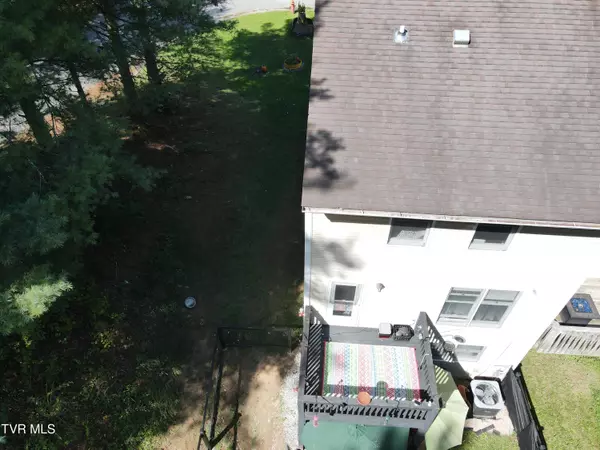 Big Stone Gap, VA 24219,48 Laurel RDG