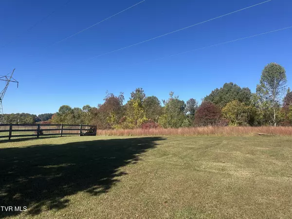 Fall Branch, TN 37656,113 Briarpatch CT