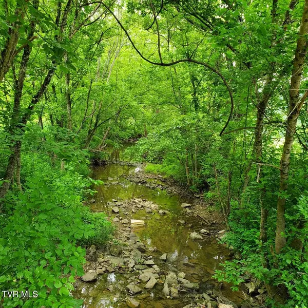 00 Lone Star RD, Kingsport, TN 37660