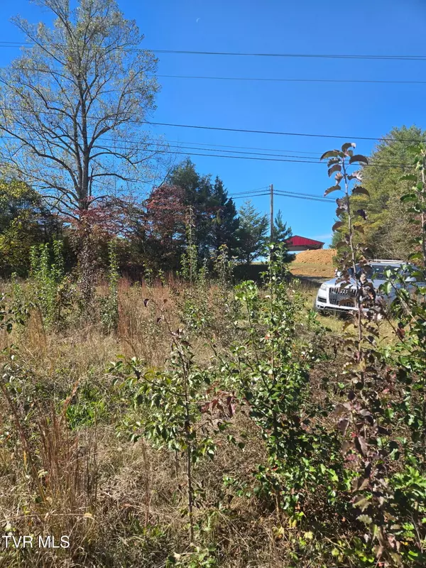 Bluff City, TN 37618,3593 Highway 390