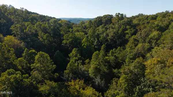 Sneedville, TN 37869,32.38 Ac Off Panther Creek RD