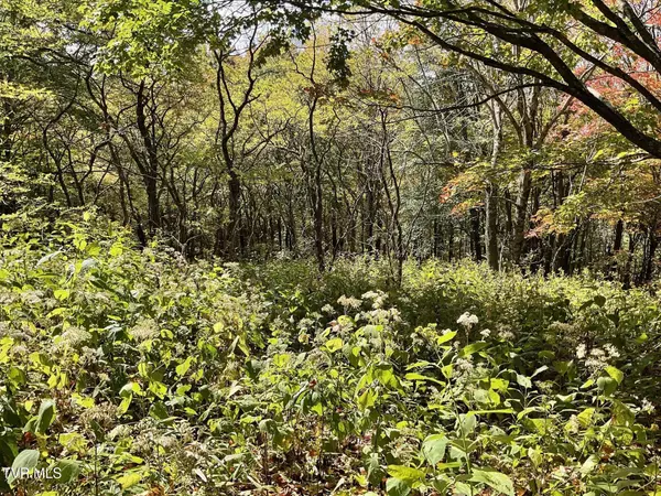 Trade, TN 37691,Tbd Modock Northeast RD