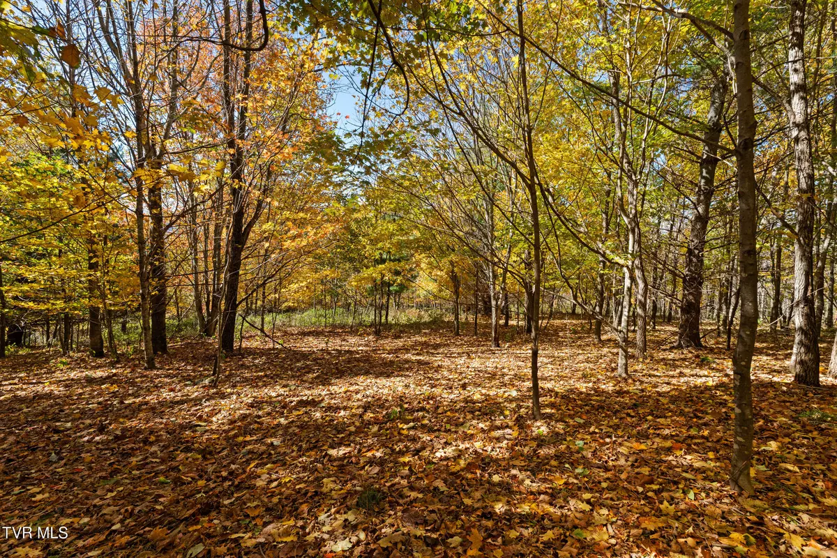 Trade, TN 37691,Tbd Modock Northeast RD