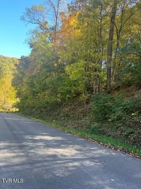 000 Cave Springs RD, Dryden, VA 24243