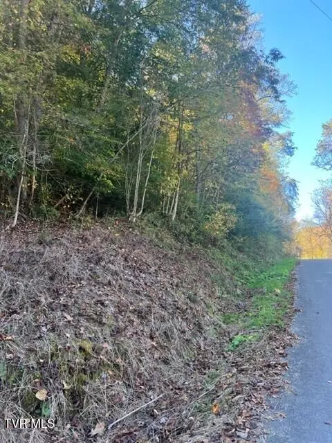 Dryden, VA 24243,000 Cave Springs RD