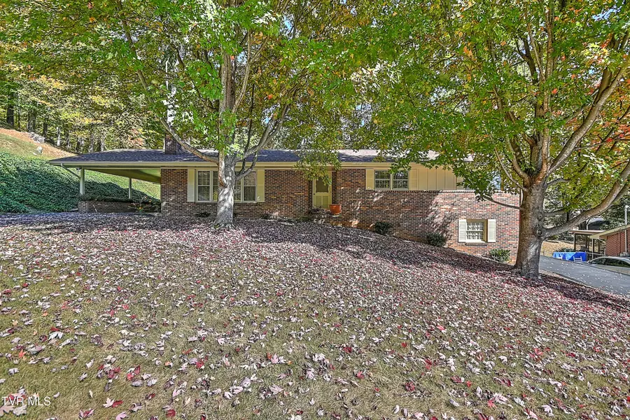3410 Amoyee DR, Johnson City, TN 37601
