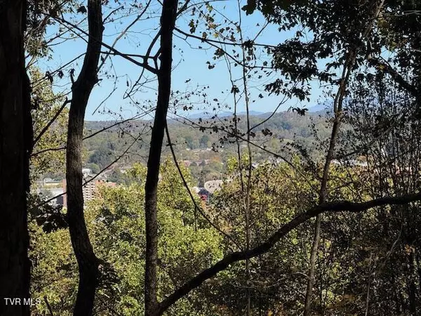 Bristol, TN 37620,Tbd Clifton RD