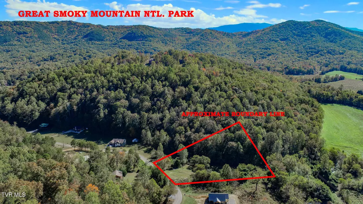 Cosby, TN 37722,2409 Perilla Dr