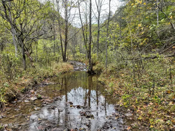 Hiltons, VA 24258,1199 Browders Chapel RD