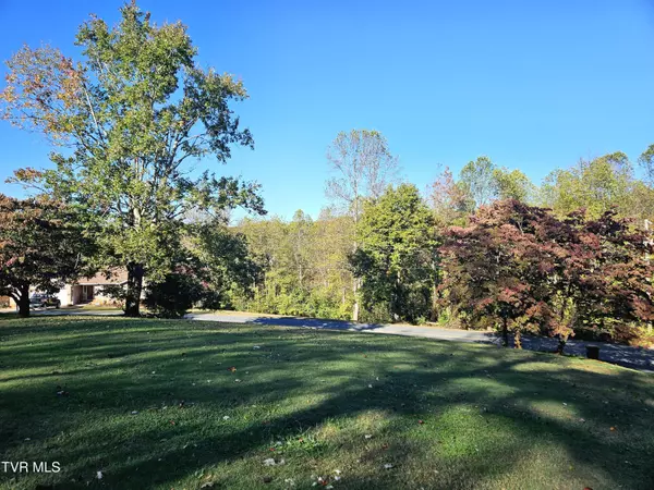 Ridgeway, VA 24148,149 Sherwood CIR