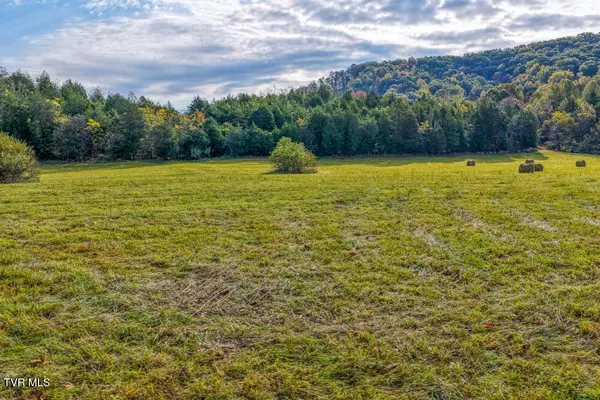 Rogersville, TN 37857,000 Jones Cemetery RD