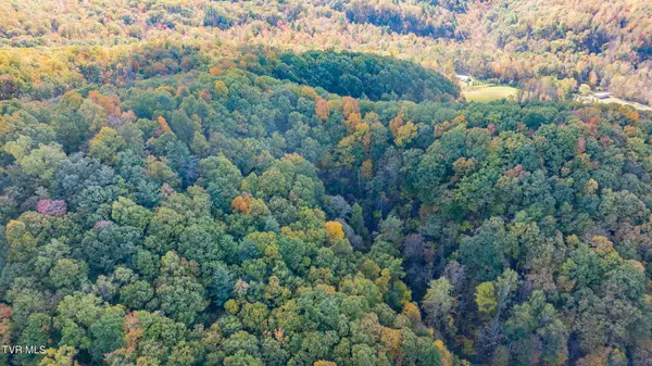 Bristol, TN 37620,809 Wyatt Hollow RD