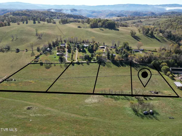 Meadowview, VA 24361,Tbd Springfield DR