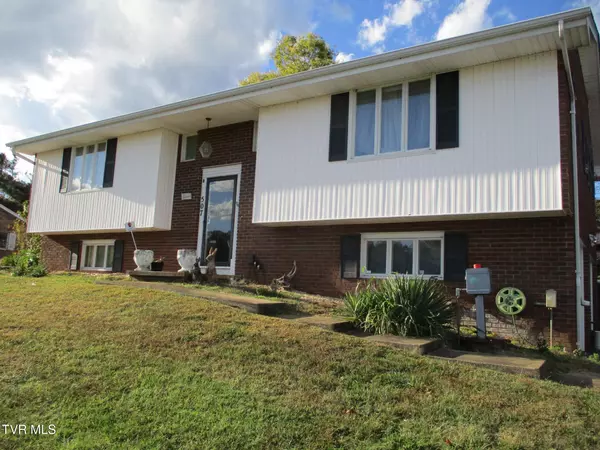 Mount Carmel, TN 37645,507 Spruce ST