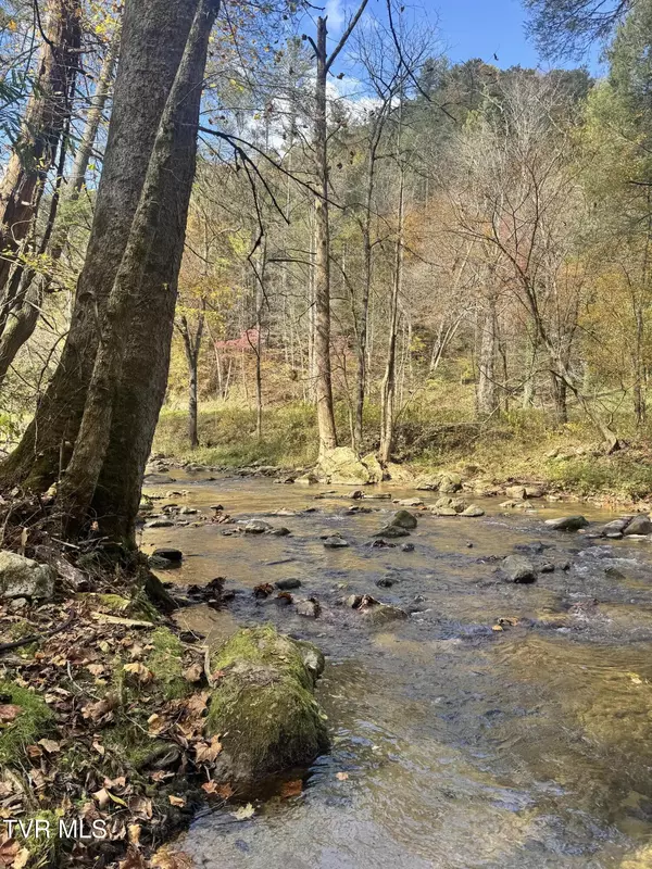 Flag Pond, TN 37657,150 Little Branch RD