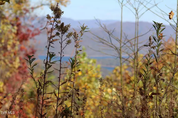 48 Locust LN, Butler, TN 37640