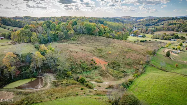 Chuckey, TN 37641,Tbd Teague RD