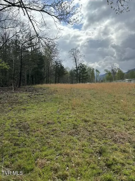 Lot 4 Laws RD, Greeneville, TN 37743