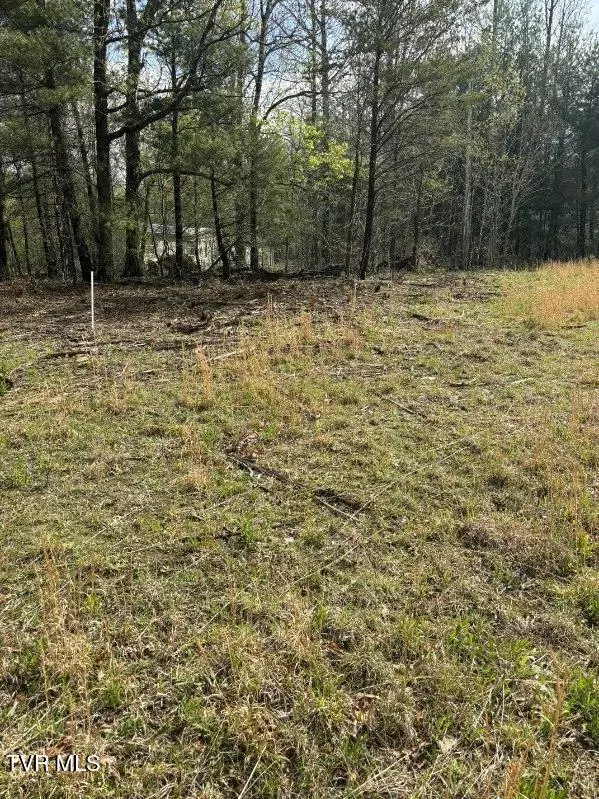 Greeneville, TN 37743,Lot 5 Laws RD