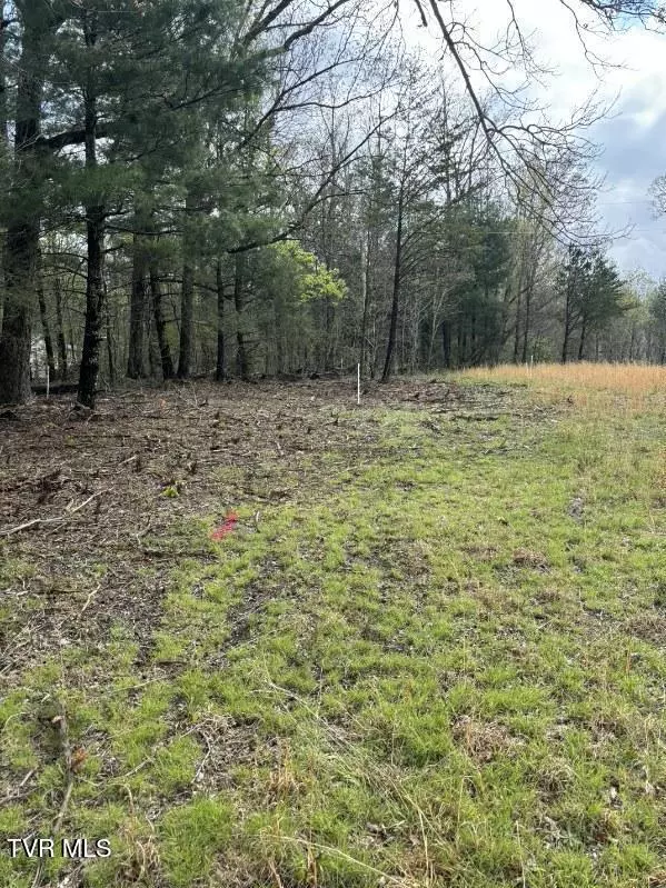 Greeneville, TN 37743,Lot 5 Laws RD