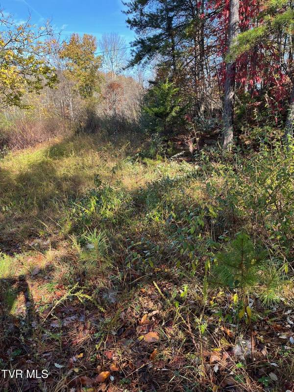 Haysi, VA 24256,Tbd Big Ridge Road