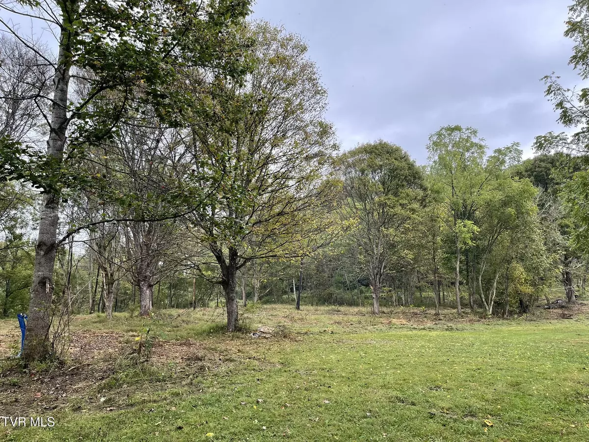 Jonesborough, TN 37659,203 Treadway TRL